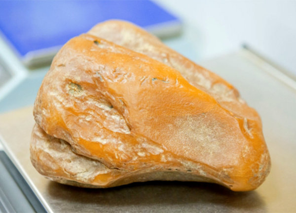 Калининградский янтарный комбинат добыл самородок весом 1,6 кг. Ювелирные Известия - J-izvestia.ru