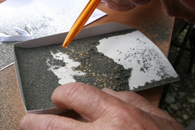 Муляжи вместо золотых самородков будут искать участники ВЭФ на «Старательском фарте». Ювелирные Известия - J-izvestia.ru